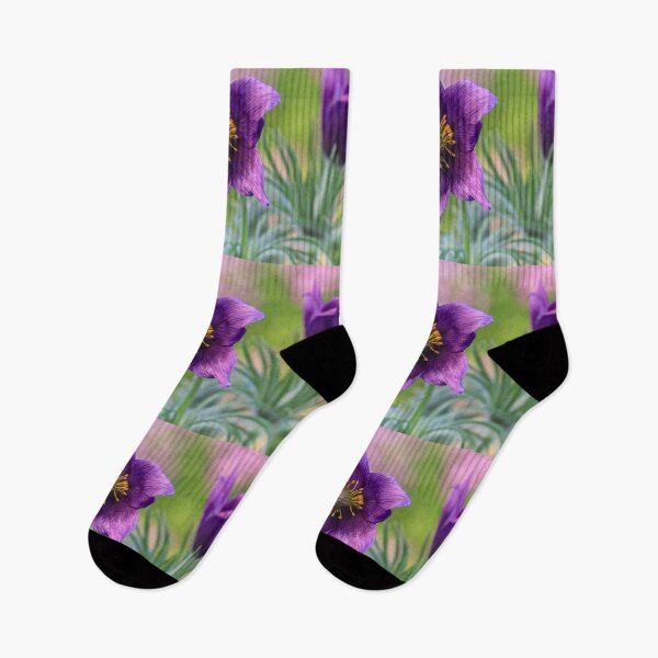 Item preview, Pinwheel Violet Pulsatilla designed and sold by John Ray.