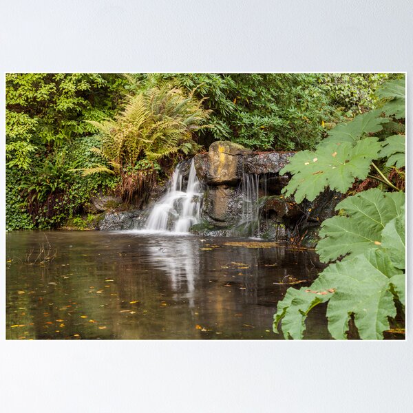 Item preview, Stanley Park Vancouver  designed and sold by Ron Finkel.