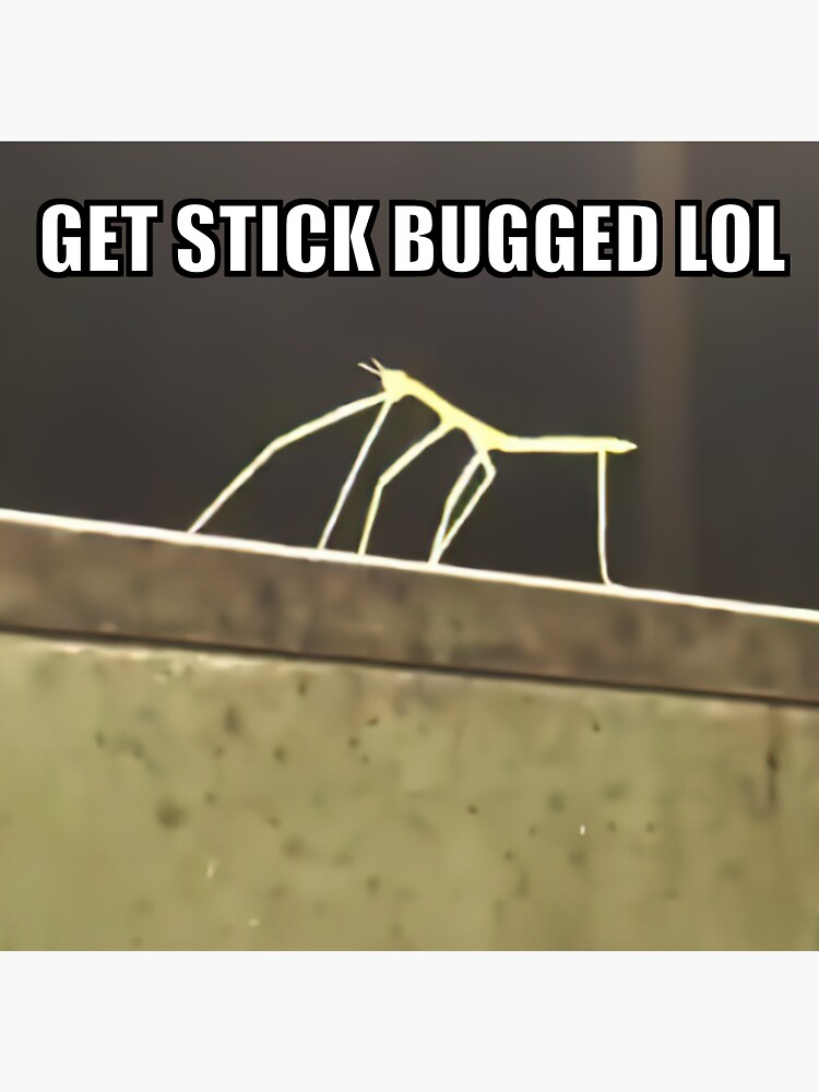 Стик баг. Dancing Stick Bug meme.