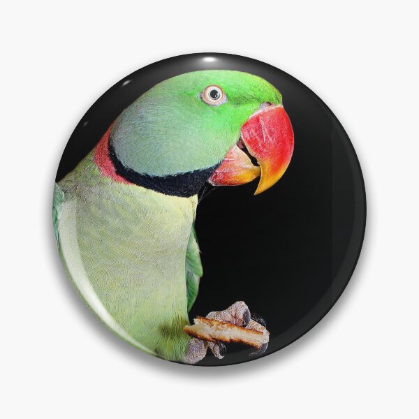 Item preview, Pets - Sam My Alexandrine Enjoying His Toast designed and sold by Phil Le Cren.