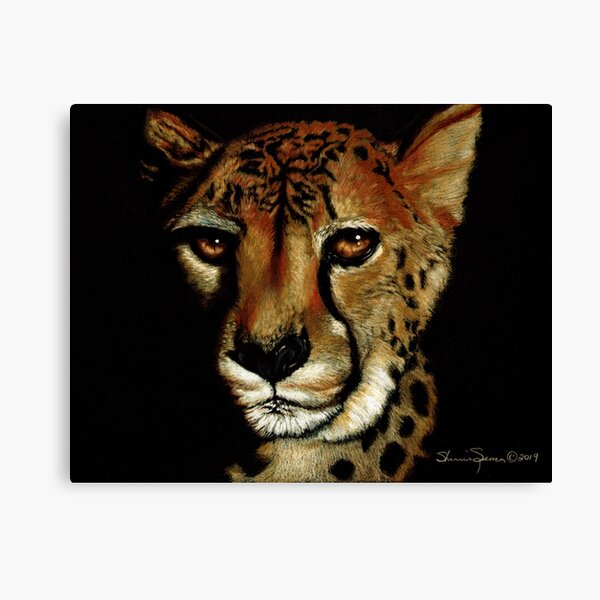 Cheetah Portrait on black paper Canvas Print
