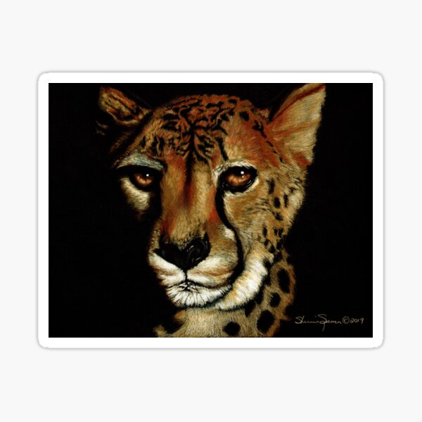 Cheetah Portrait on black paper Sticker