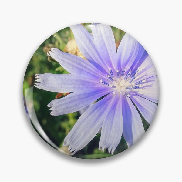 Item preview, Flower Smiles designed and sold by brunoanjoloart.