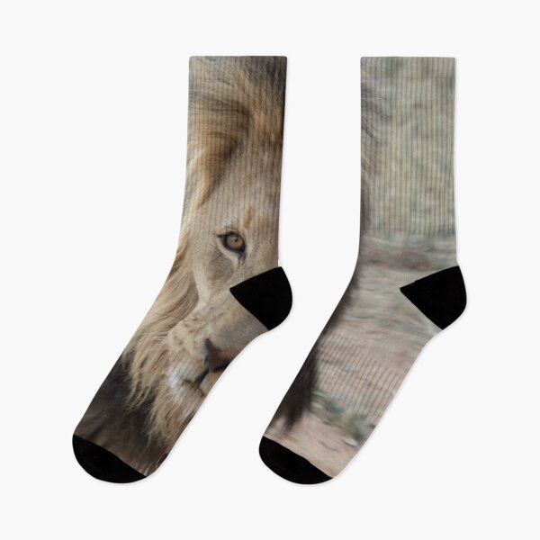 Item preview, Portrait of a lion designed and sold by HazelWright.