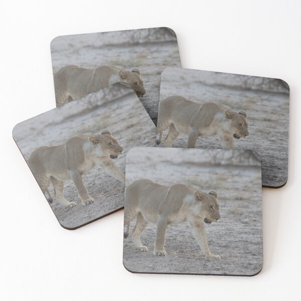 Item preview, Lioness prowling in Namibia designed and sold by HazelWright.