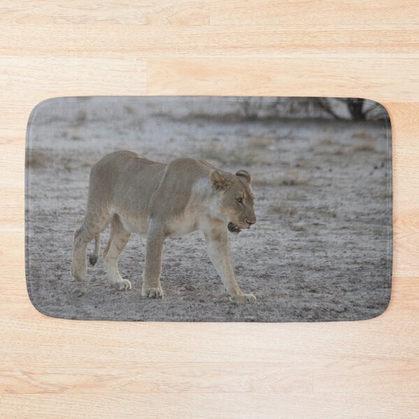 Item preview, Lioness prowling in Namibia designed and sold by HazelWright.