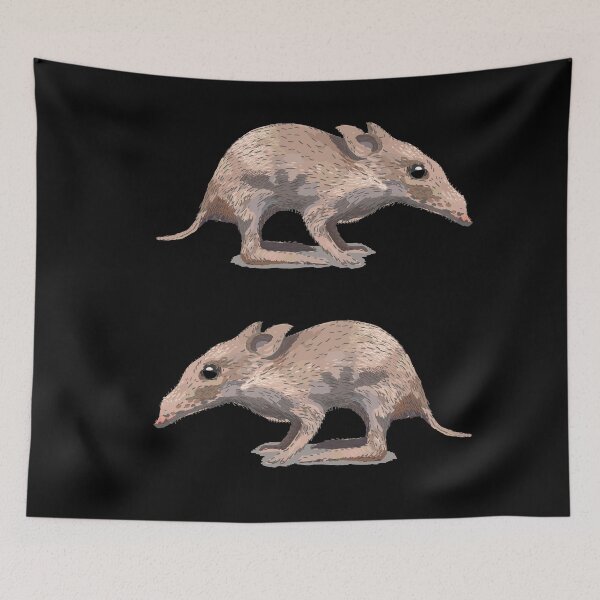 Item preview, Two long nosed bandicoots designed and sold by korasi.