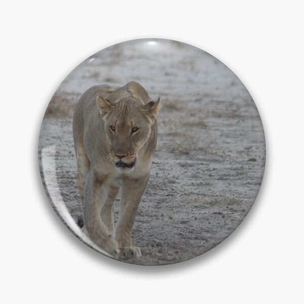 Item preview, Lioness strolling in Namibia designed and sold by HazelWright.