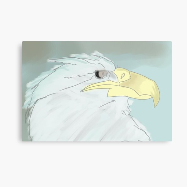 Eagle Metal Print