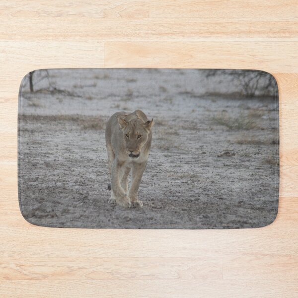 Item preview, Lioness strolling in Namibia designed and sold by HazelWright.