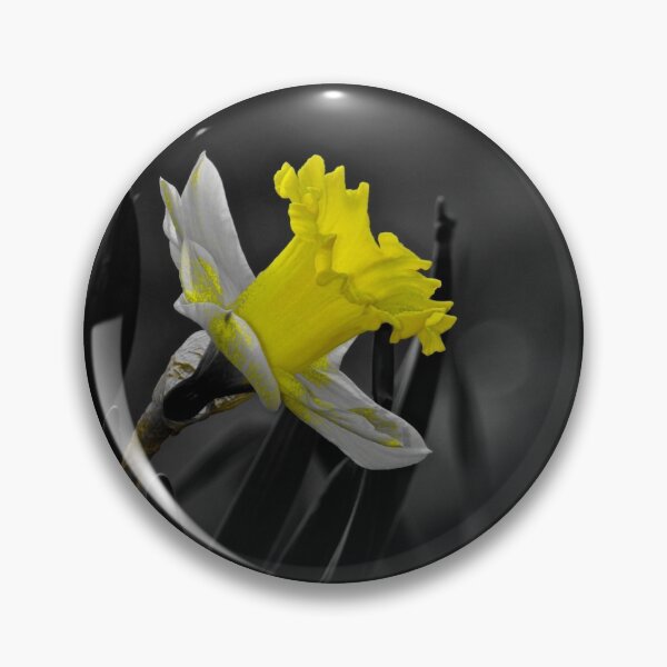 Item preview, Glowing yellow daffodil in the sun designed and sold by BBrightman.