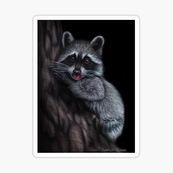 Raccoon with Tongue Sticking Out Sticker
