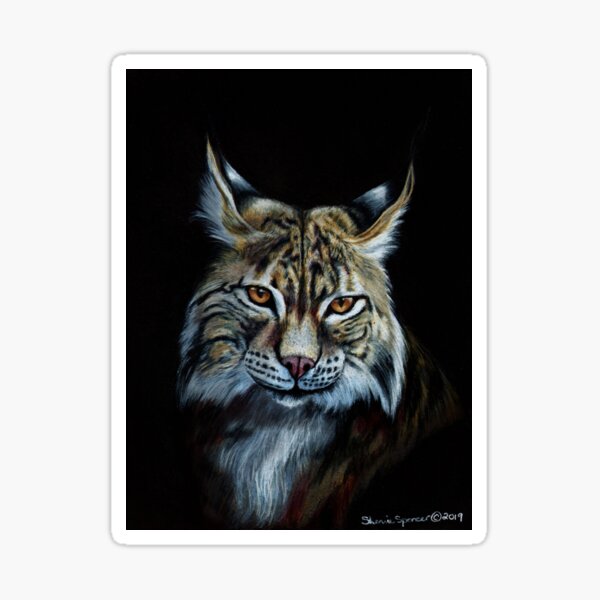Bobcat Portrait Sticker