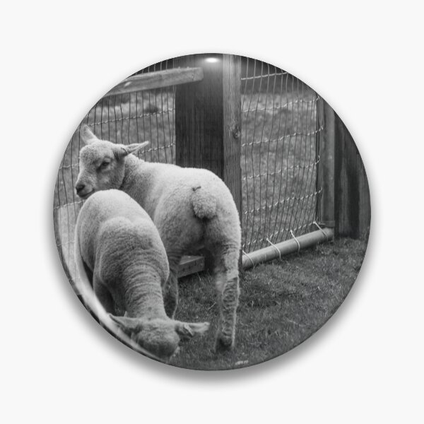 Item preview, The lambs at Maplewood Farm 2 designed and sold by Gabriele Maurus.