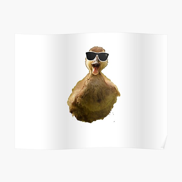 Bird With Glasses Posters Redbubble