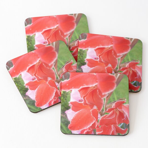 Item preview, Gladiolus  designed and sold by jdphotos.