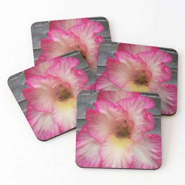 Item preview, Gladiolus designed and sold by jdphotos.