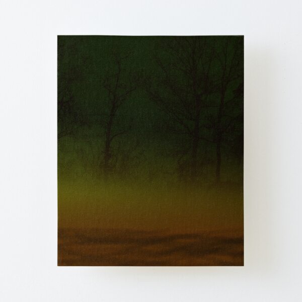 Misty Forest Canvas Mounted Print
