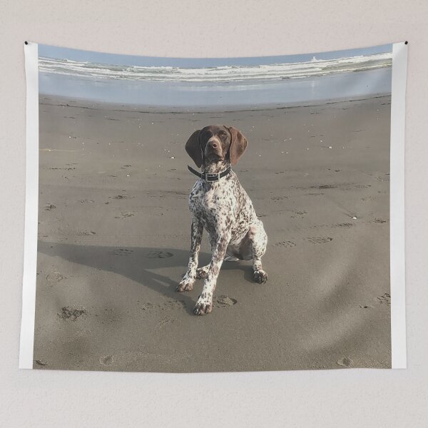 Item preview, Ziggy the Gsp  designed and sold by Sereen95.