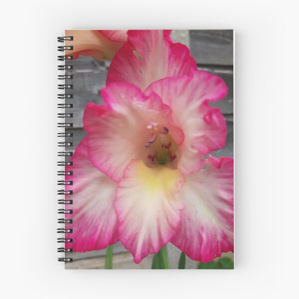 Item preview, Gladiolus designed and sold by jdphotos.