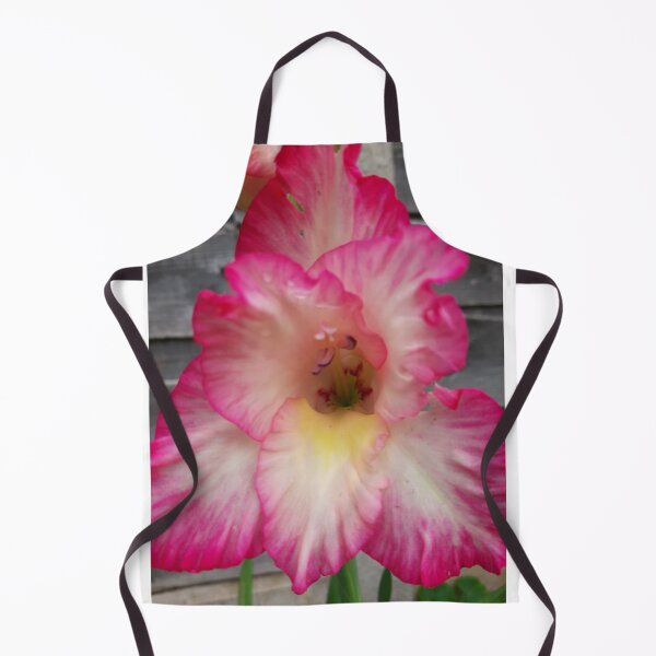 Item preview, Gladiolus designed and sold by jdphotos.