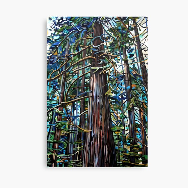 Tofino Rain Forest Canvas Print