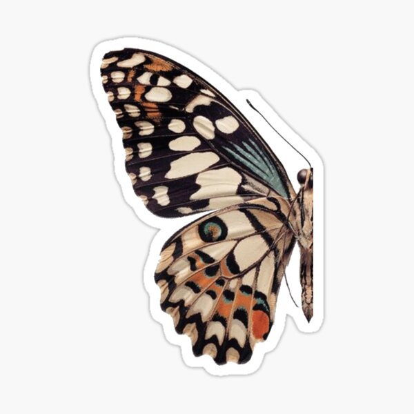 Item preview, butterfly designed and sold by Layne Lazor.
