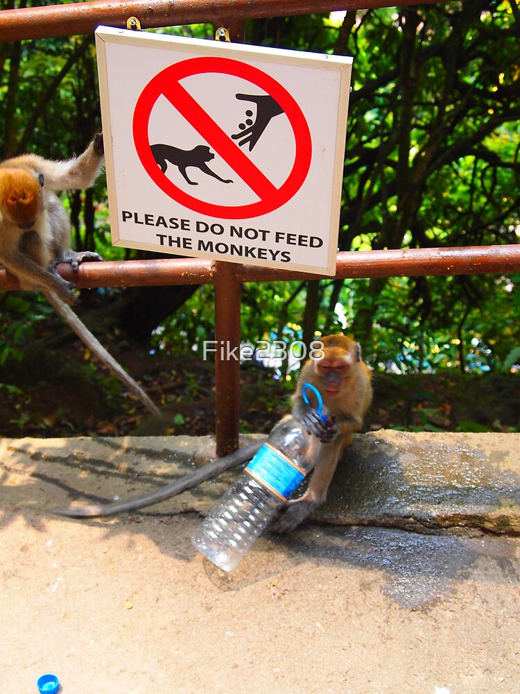 do-not-feed-the-monkeys-poster-for-sale-by-fike2308-redbubble for Feed The Monkey Free Printable Do not feed the monkeys