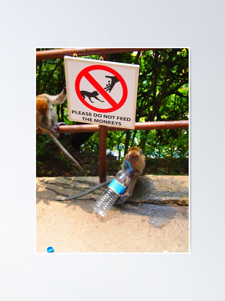 do-not-feed-the-monkeys-poster-for-sale-by-fike2308-redbubble