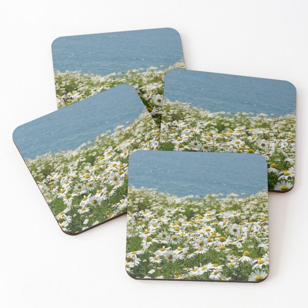 Item preview, Oxeye daisies by the sea designed and sold by Tizz07.
