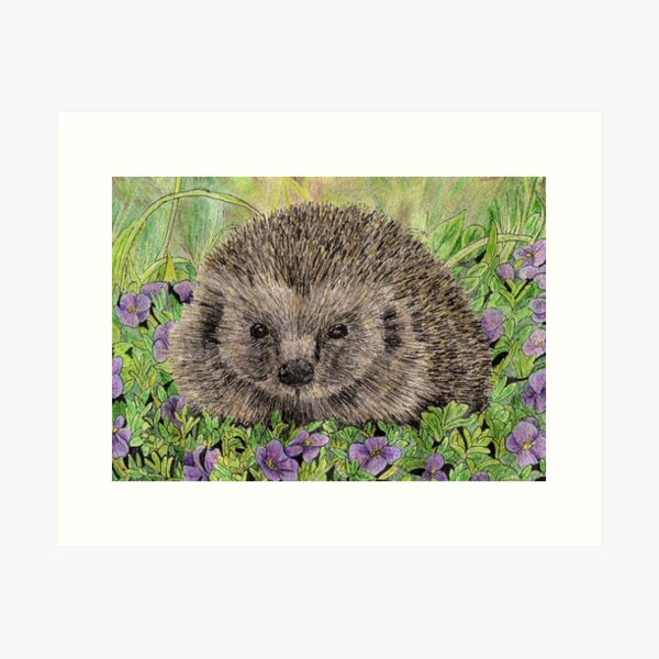 Little Hedgehog Art Print