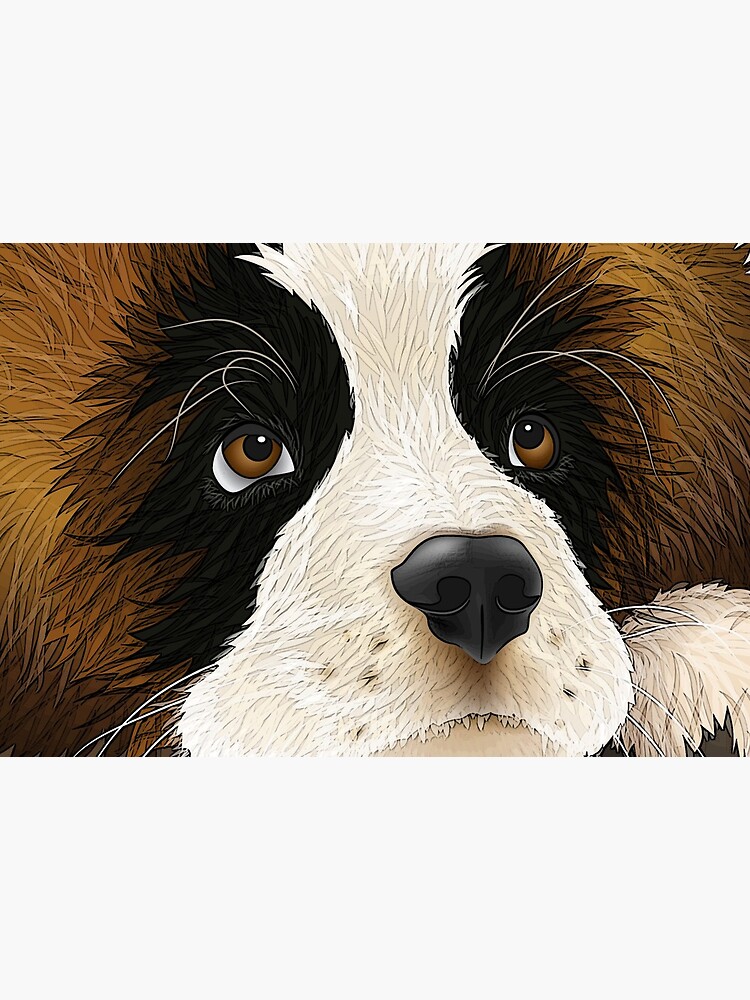 Saint Bernard by itsmechris