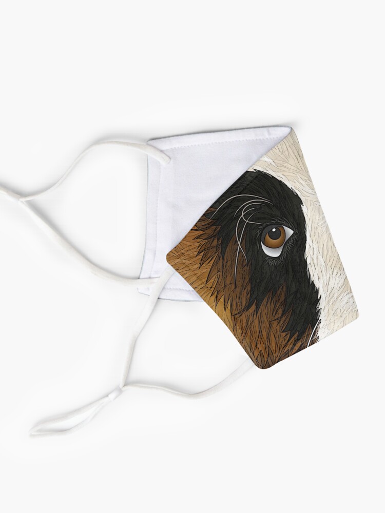 Alternate view of Saint Bernard Mask