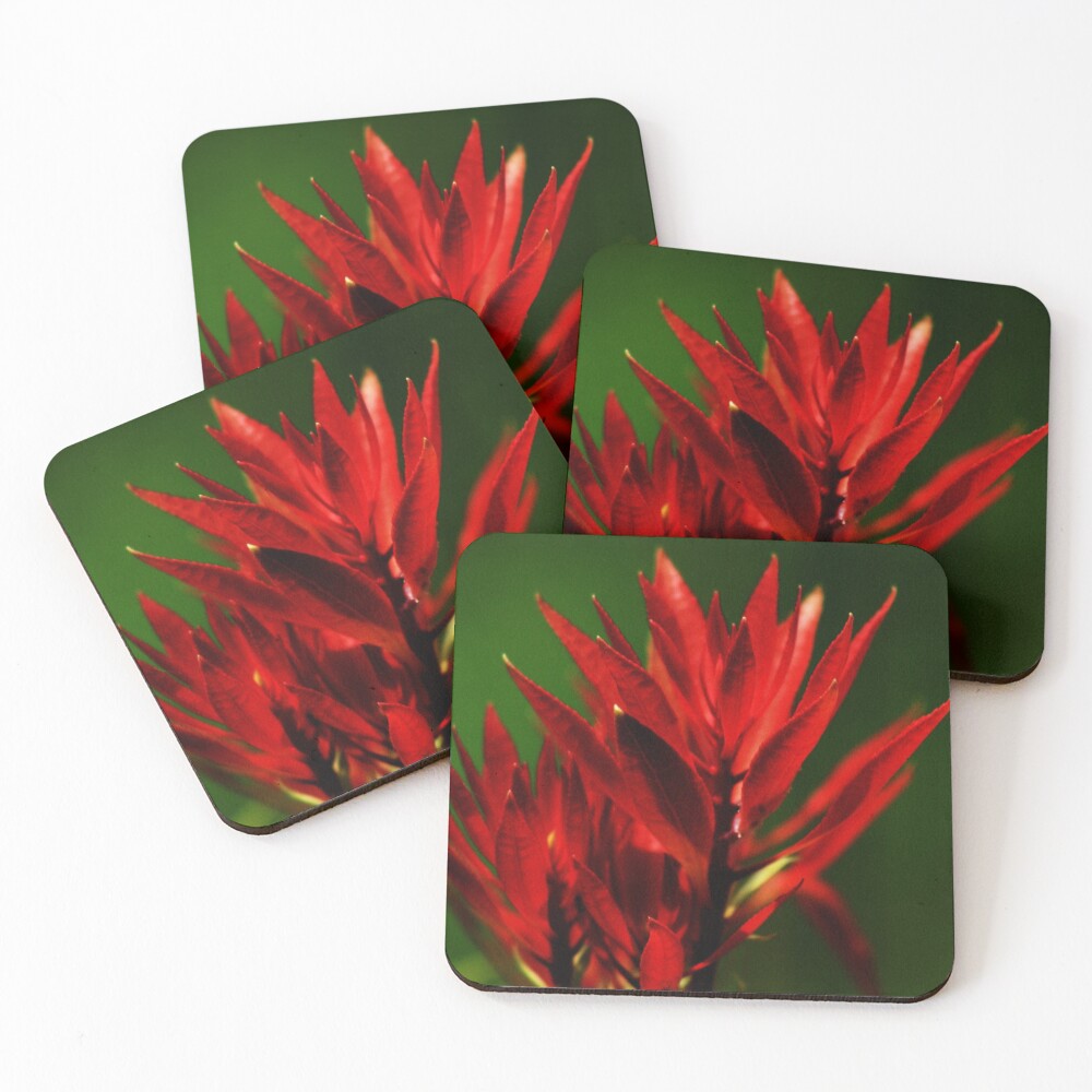 Item preview, Coasters (Set of 4) designed and sold by schaas.