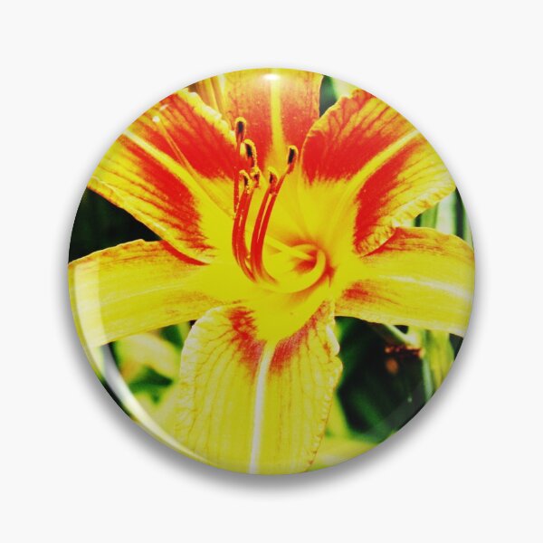 Item preview, exotic beauty designed and sold by Samuel Schaar.