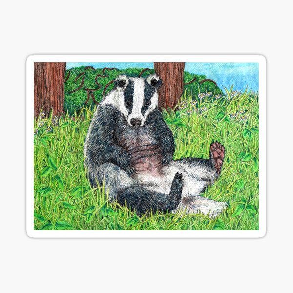 Badger Belly Sticker