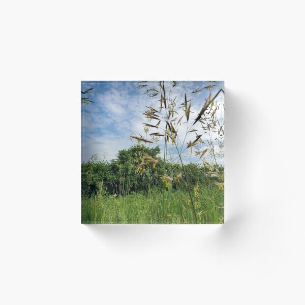 Item preview, Nature landscape  designed and sold by Jrauli.
