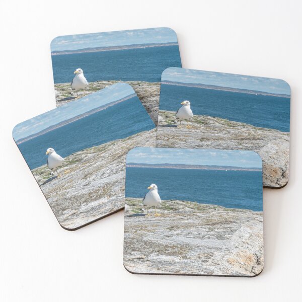 Item preview, Sea gull by the sea designed and sold by EngineerGoC.