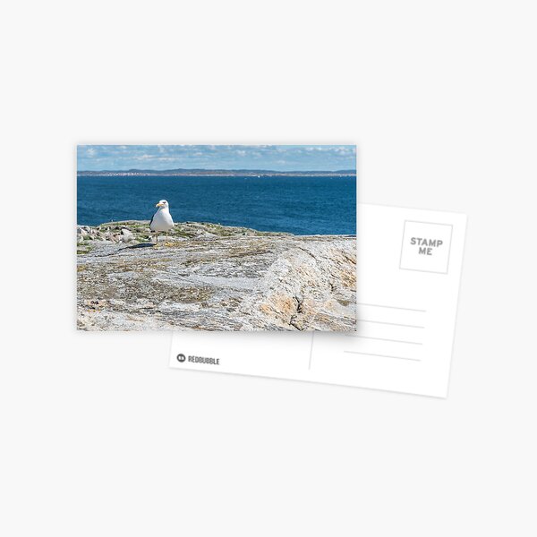Item preview, Sea gull by the sea designed and sold by EngineerGoC.