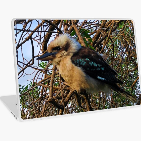 Item preview, Kookaburra Bird Australia designed and sold by GhostGumDesigns.