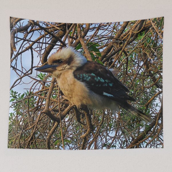 Item preview, Kookaburra Bird Australia designed and sold by GhostGumDesigns.