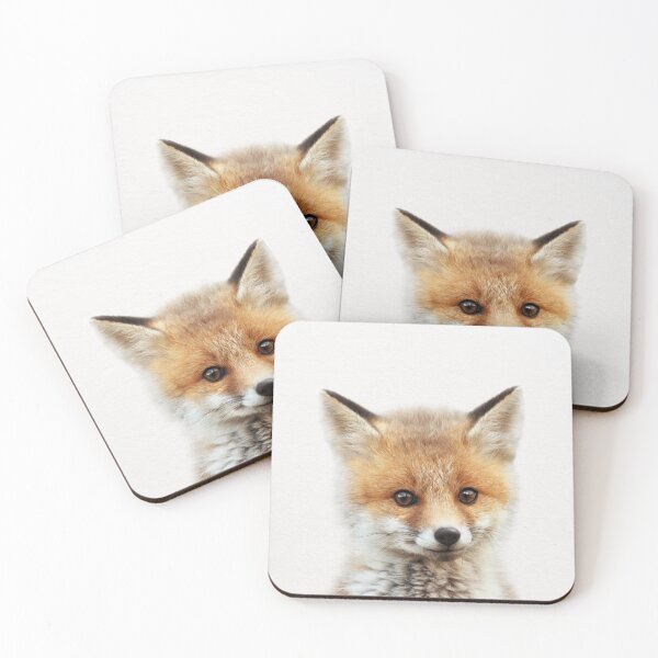 Item preview, Baby Fox, Baby Animals Art Print by Synplus designed and sold by synplus.