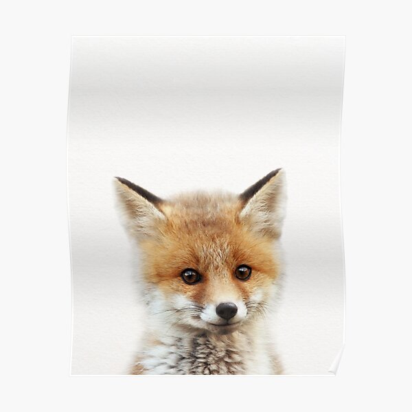 Baby Fox, Baby Animals Art Print by Synplus Poster