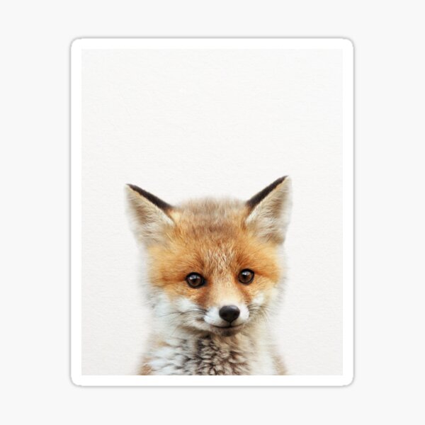 Item preview, Baby Fox, Baby Animals Art Print by Synplus designed and sold by synplus.