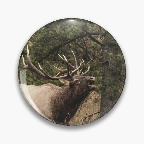 Item preview, Bull Elk Rutting Season designed and sold by DFMY.