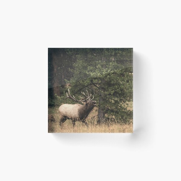 Item preview, Bull Elk Rutting Season designed and sold by DFMY.