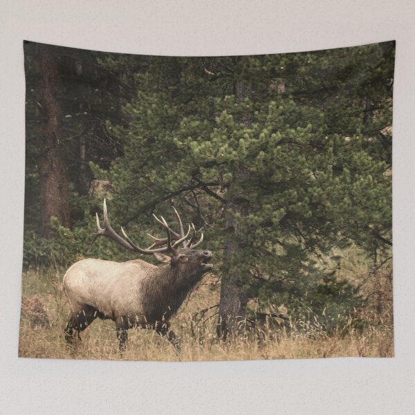 Item preview, Bull Elk Rutting Season designed and sold by DFMY.