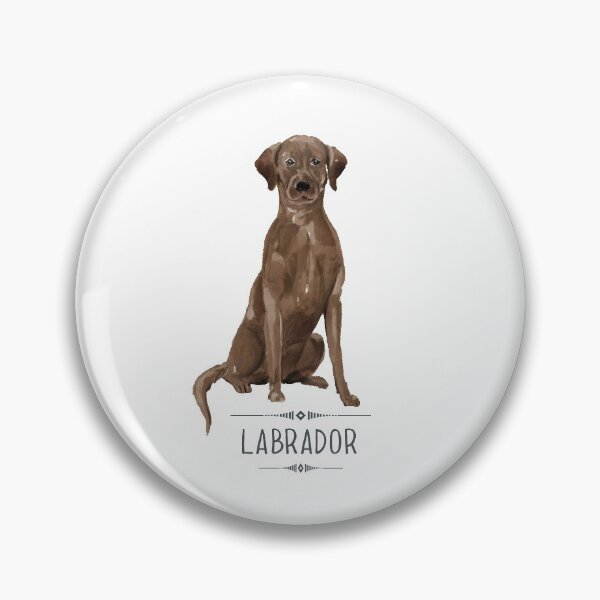 Artikelvorschau, Schokoladenbrauner Labrador entworfen und verkauft von bullshirter.