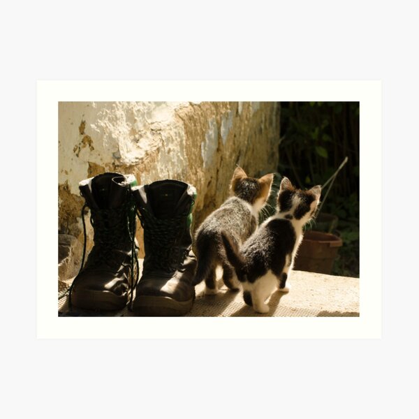 Art Print