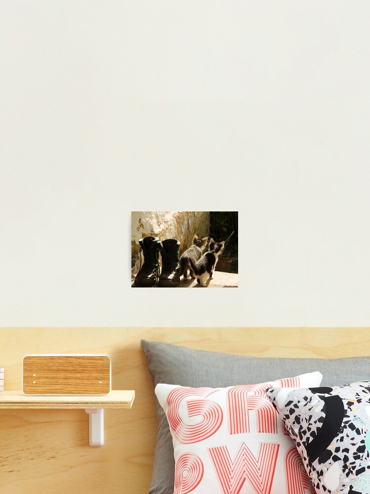 Thumbnail 2 of 3, Photographic Print, Young cats game designed and sold by Septi79.
